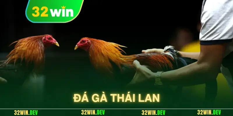 đá gà Thái Lan
