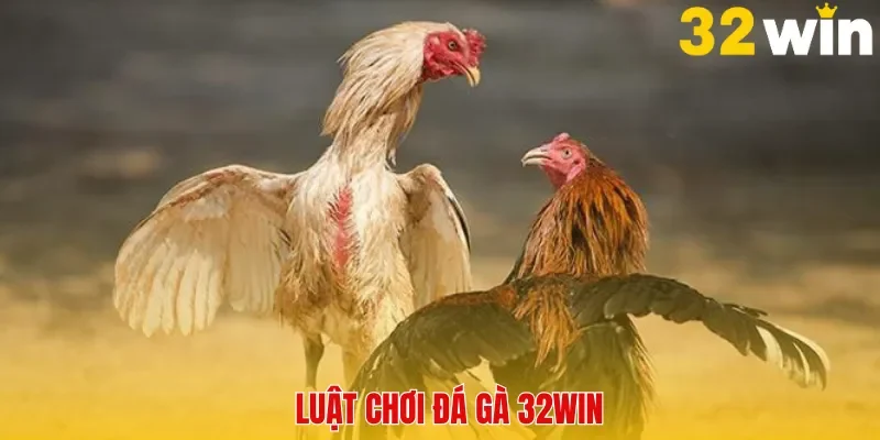 Luật chơi đá gà 32Win